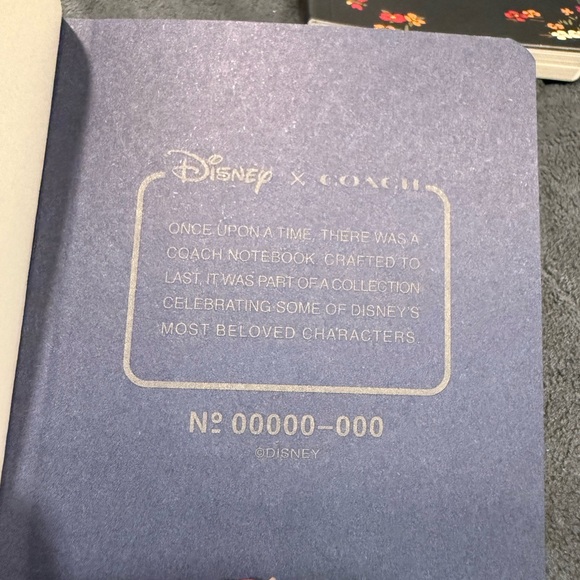 Disney X Coach Mini Notebook Set - Picture 5 of 7